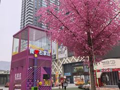 -石家庄诺华廷酒店(万象城湾里庙步行街店)