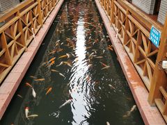-侠成水上农庄(工业大道店)