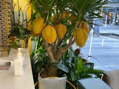 -猫王榴莲世家(三里屯SOHO商场店)