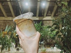 柠檬树拿铁-GOTLOT COFFEE&KITCHEN角落厨房NOOK店