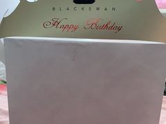 -BLACKSWAN黑天鹅(环球店)