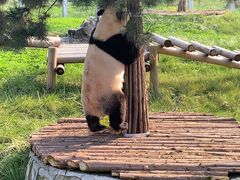 -西安秦岭野生动物园