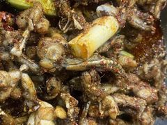 麻辣牛蛙-辣盆盆麻辣小龙虾(哈尔滨总店)