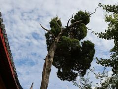 -狼山风景名胜区