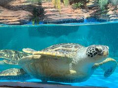 -南京金牛湖风景区