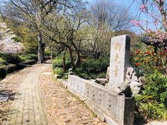-雨花胜境