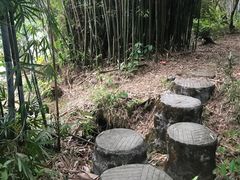 -碧水湾温泉