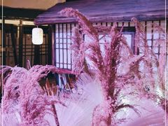 -淀里船宴(卓达店)