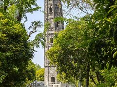 -上海佘山国家森林公园天马山园