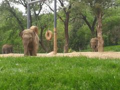 -北京野生动物园