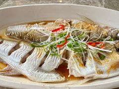 清蒸白水鱼-状元楼(金溪路店)