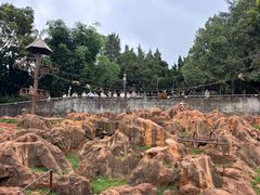 -昆明动物园