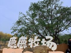 -盈香心动乐园