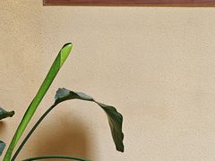 -E SPECIAL COFFEE 别样
