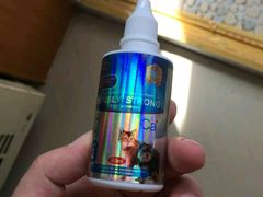 -北京观赏动物医院·24小时大型综合·猫专科·异宠专科