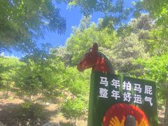 -山叶口景区