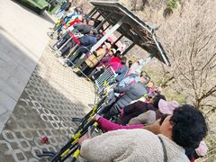 -少华山国家森林公园
