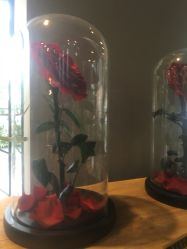 -花落谁家婚礼策划(永安街店)