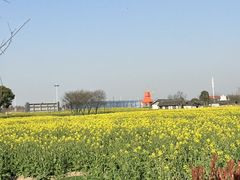 -杭州湾海上花田景区
