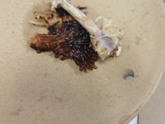 -同仁四季椰子鸡(福田车公庙店)