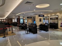 -知音艺术教育培训·钢琴培训·音乐培训(河西金鹰世界校区)