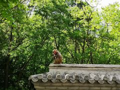 -北京上方山国家森林公园