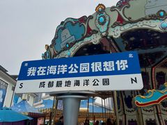 -海合安成都极地海洋公园