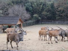 -杭州野生动物世界