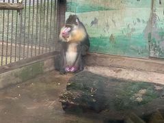 -昆明动物园