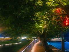 -金孔雀温泉旅游度假村