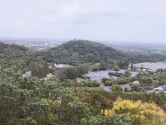 -上海佘山国家森林公园西佘山园