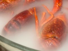 -红盔甲·小龙虾(车公庙店)