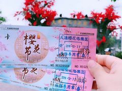 -天适樱花悠乐园