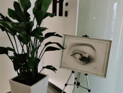 -处女座·MISS VIRGO·半永久纹眉野生眉