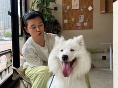 -翊宠yipet猫狗购宠庄园犬舍•猫舍