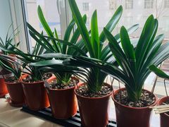 -木子塘汗蒸生活馆(财富港店)