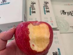 -双福水果批发市场