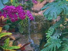 -郑州植物园