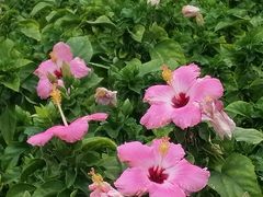 -新梦百货(民族店)