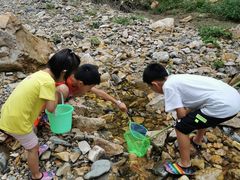 -大连天门山国家森林公园