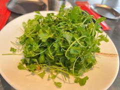 -No.DD戳子烧烤·江湖菜(北京总店)