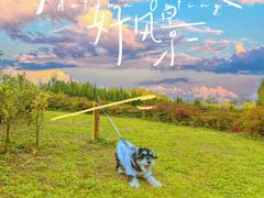 -渭河城市绿地运动公园