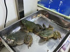 -活鱼馆(宜兴埠店)