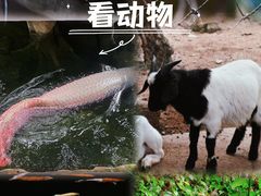 -青青世界