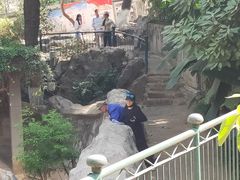 -昆明动物园