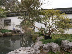 -上海醉白池公园