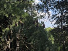 -虞山城墙