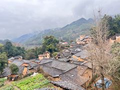 -杨家堂村