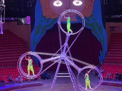 -俄罗斯国家大马戏团