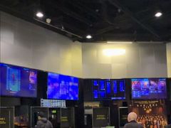 -巴黎伦敦纽约米兰戏院